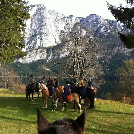 Reitbauernhof Schartner-2