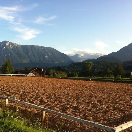 Reitbauernhof Schartner-3